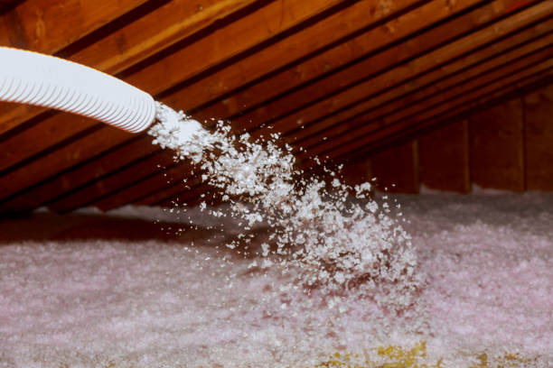 Best Insulation Installation Services in Haledon, NJ